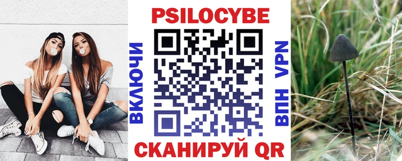 Галлюциногенные грибы Cubensis blacksprut маркетплейс Павловская