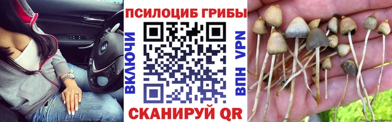 Галлюциногенные грибы Cubensis Павловская